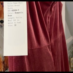 Revelry Skye Velvet Dress
